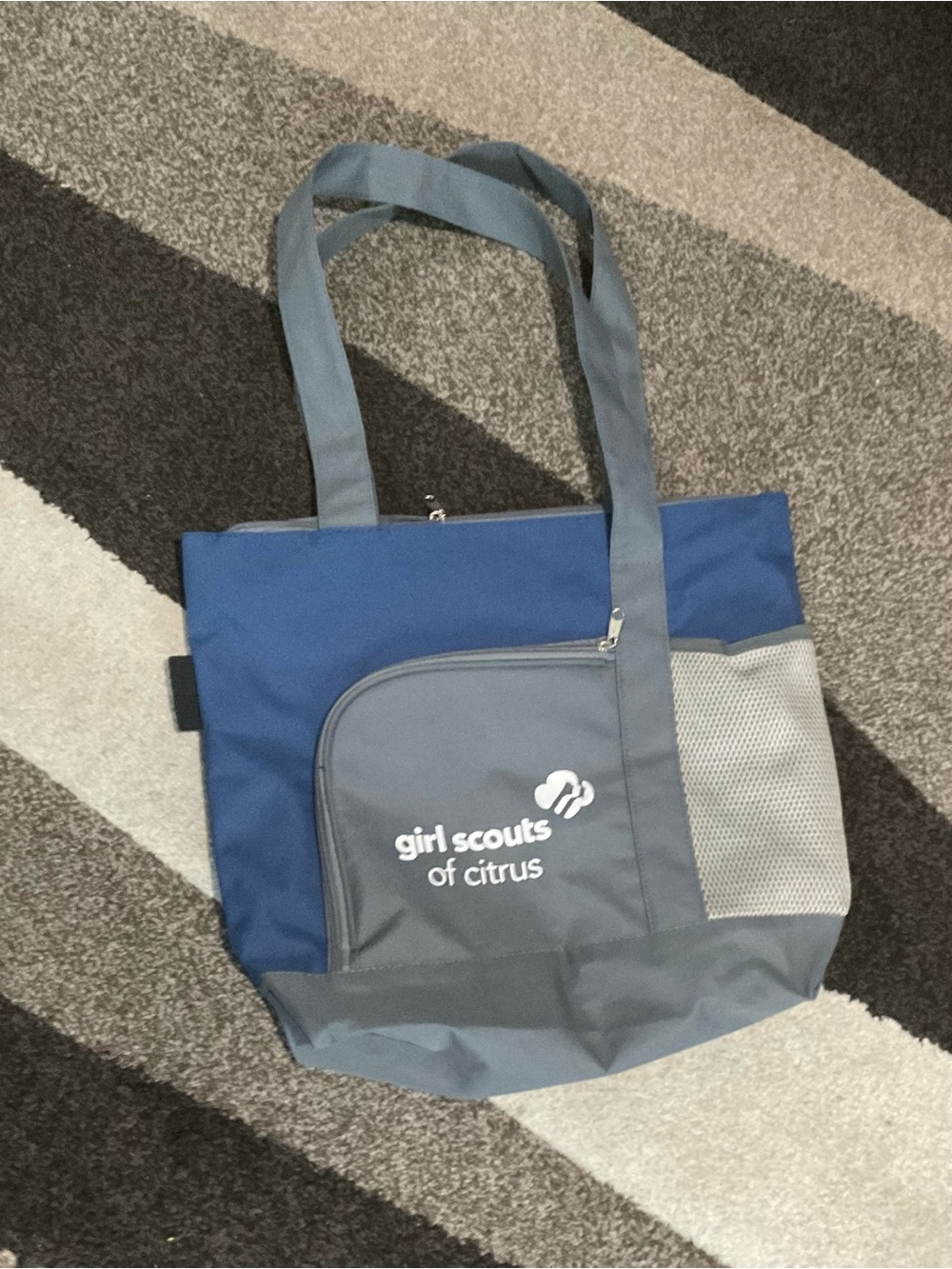 Girl Scouts of Citrus Blue and Gray Messenger Tote